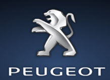 Numer kontrolny Peugeot, DAM number co oznacza i gdzie go szukać.