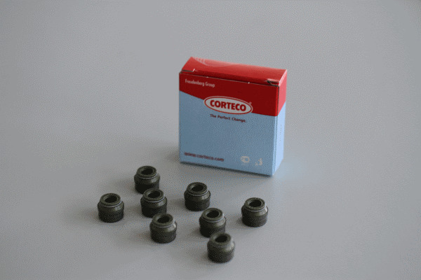 Zestaw uszczelniaczy, trzonek zaworu 19025682 CORTECO