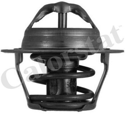 Termostat układu chłodzenia TH4898.87J VERNET S.A.