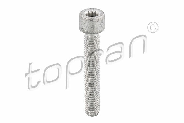 Śruba, kołnierz wału Cardano 104 306 TOPRAN