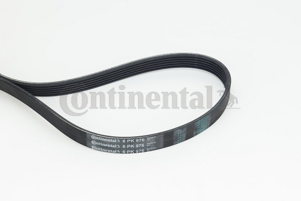 Pasek klinowy wielorowkowy 6PK976 CONTITECH