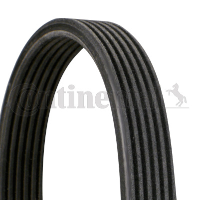 Pasek klinowy wielorowkowy 6DPK1195 CONTITECH