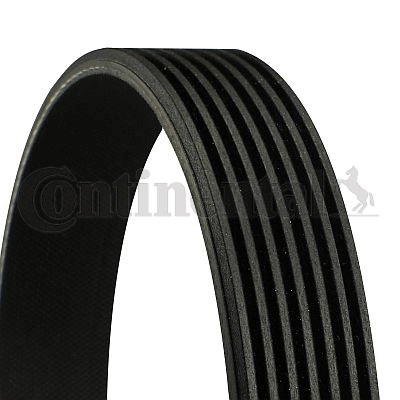 Pasek klinowy wielorowkowy 7PK1785 CONTITECH