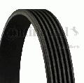 Pasek klinowy wielorowkowy wyprzedaż, 6PK1173, CONTITECH w ofercie sklepu e-autoparts.pl 
