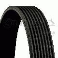 Pasek klinowy wielorowkowy wyprzedaż, 8PK1688, CONTITECH w ofercie sklepu e-autoparts.pl 