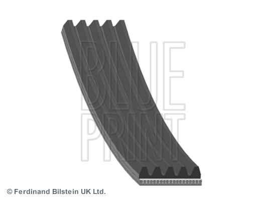 Pasek klinowy wielorowkowy AD05R1546 BLUE PRINT