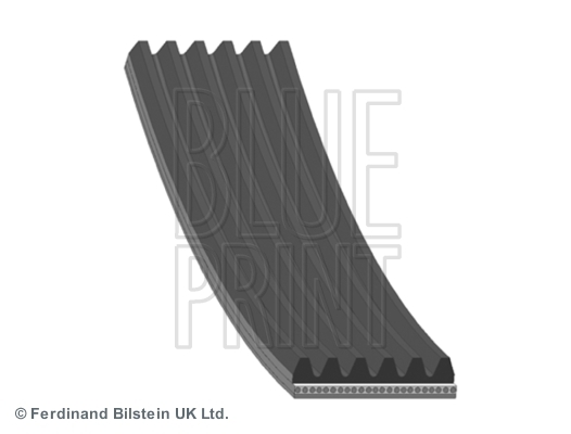 Pasek klinowy wielorowkowy AD06R2550 BLUE PRINT