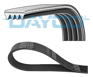 Pasek klinowy wielorowkowy 4PK736 DAYCO