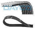 Pasek klinowy wielorowkowy wyprzedaż, 6PK1613, DAYCO w ofercie sklepu e-autoparts.pl 