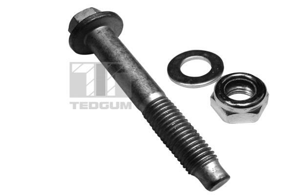 Śruba, wahacz poprzeczny 00228320 TED-GUM