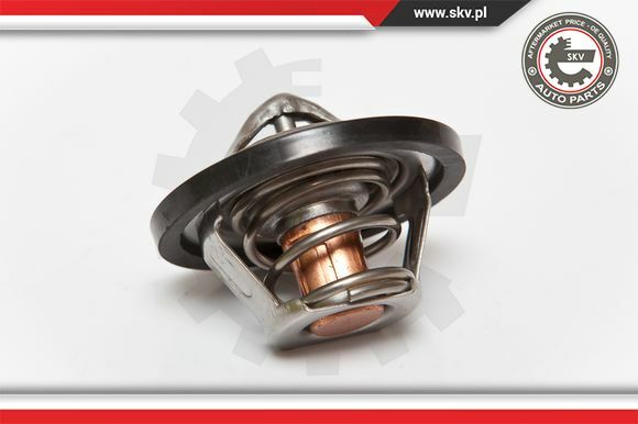 Termostat układu chłodzenia 20SKV015 SKV