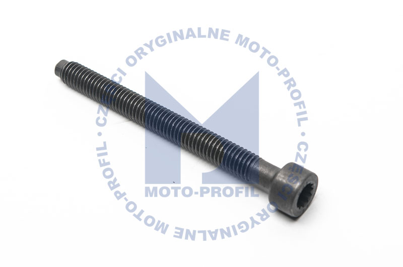 śruba pompowtryskiwacza vag 038103385A VOLKSWAGEN