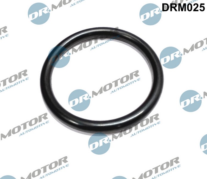 o-ring przepustnicy duży renault wyprzedaż DRM025 DR.MOTOR