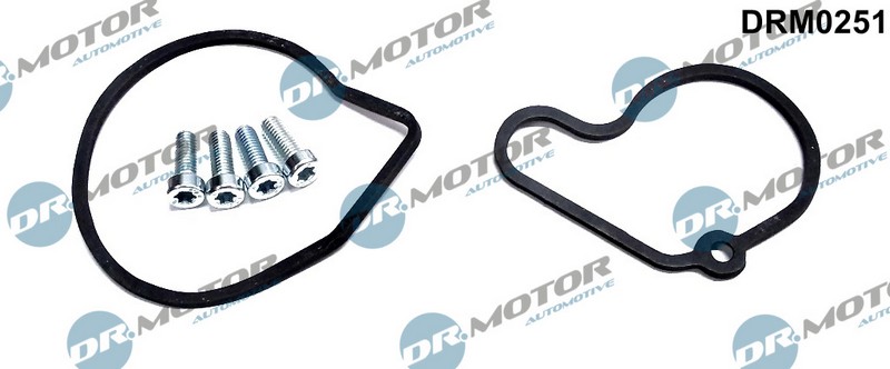 zestaw naprawczy pompy próżniowej vw DRM0251 DR.MOTOR