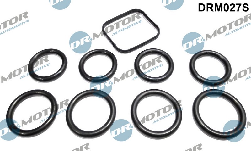 zestaw uszczelek kolektora ssącego ford (4+4+1szt) DRM027S DR.MOTOR