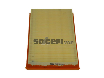 Filtr powietrza CA4309 FRAM