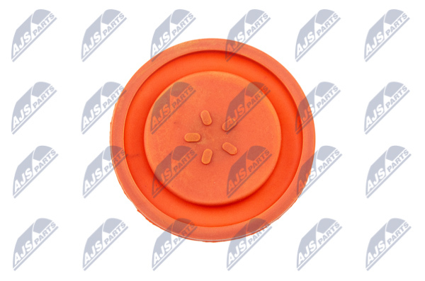 Pokrywa głowicy cylindrów BPZ-PL-006 NTY
