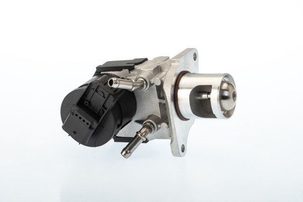 Zawór AGR, OE-Version/Genuine 710327D WAHLER