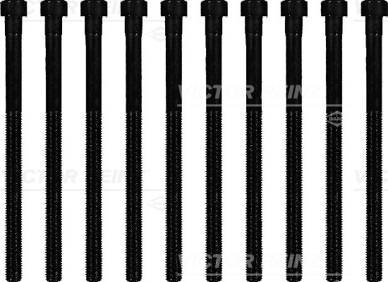 Zestaw śrub głowicy cylindrów 14-10213-01 REINZ