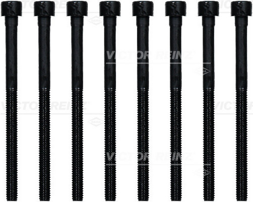 Zestaw śrub głowicy cylindrów 14-32366-01 REINZ