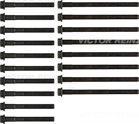 Zestaw śrub głowicy cylindrów 14-55034-01 REINZ
