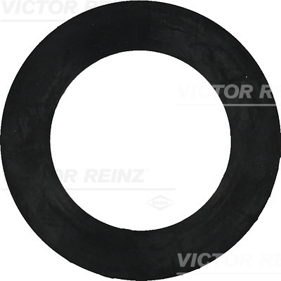 pierścień uszczelniający 40-77408-00 REINZ