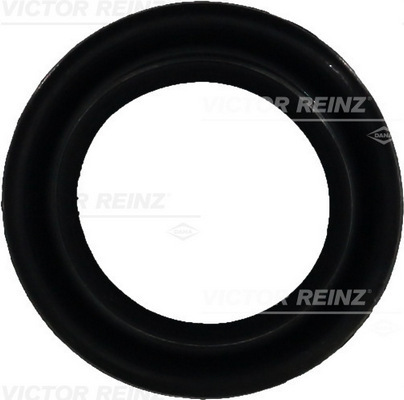 Uszczelka, obudowa kolektora dolotowego 71-25876-00 REINZ