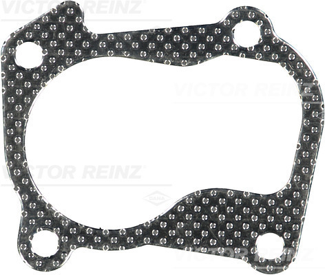 Uszczelka 71-33199-00 REINZ