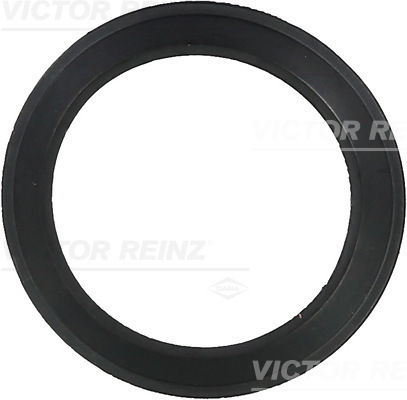 Uszczelka, obudowa kolektora dolotowego 71-36061-00 REINZ