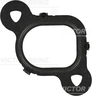 Uszczelka, kolektor dolotowy 71-37536-00 REINZ
