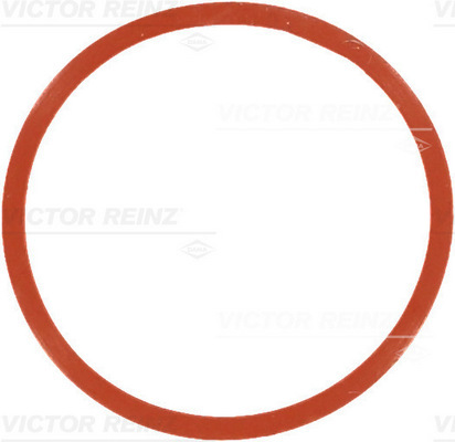 Uszczelka 71-77546-00 REINZ